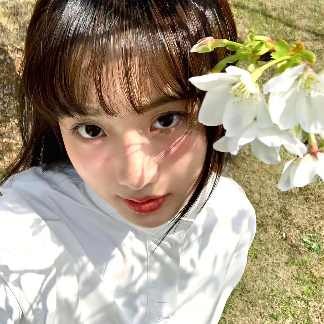 孝女沈清