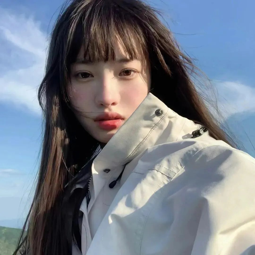 完美伴侣